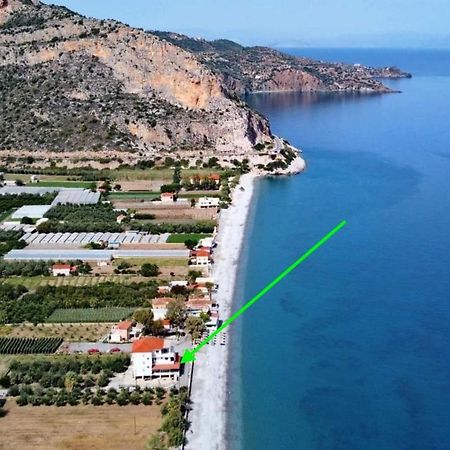 Thassa Beach Apartment No1 Leonídion Eksteriør bilde